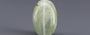 Ceylon Cat's Eye - 6.87 Carat Prime Quality CE-10815