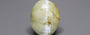 Ceylon Cat's Eye - 6.92 Carat Prime Quality CE-10783