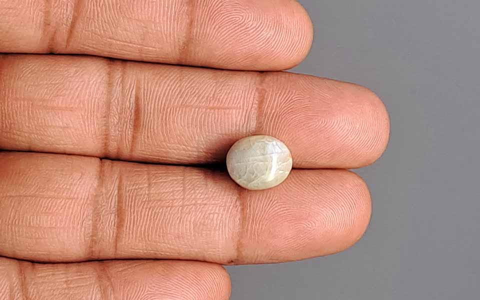 Ceylon Cat's Eye - 7.51 Carat Prime Quality CE-10788