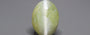 Ceylon Cat's Eye - 8.25 Carat Prime Quality CE-10795