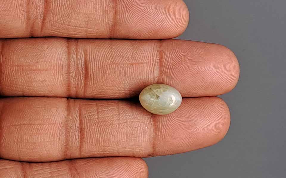 Ceylon Cat's Eye - 8.25 Carat Prime Quality CE-10795