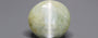 Ceylon Cat's Eye - 8.52 Carat Prime Quality CE-10791