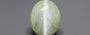 Ceylon Cat's Eye - 9.19 Carat Limited Quality CE-10804