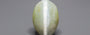 Ceylon Cat's Eye - 9.58 Carat Limited Quality CE-10805