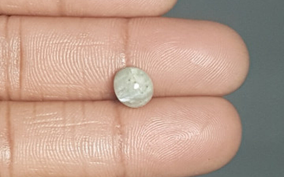 Ceylon Cat's Eye - 3.91 Carat Prime Quality CE-10620