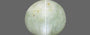 Ceylon Cat's Eye - 3.91 Carat Prime Quality CE-10620