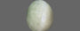 Ceylon Cat's Eye - 2.88 Carat Prime Quality CE-10623