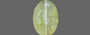 Ceylon Cat's Eye - 2.72 Carat Prime Quality CE-10625