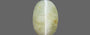 Ceylon Cat's Eye - 3.55 Carat Prime Quality CE-10637