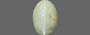 Ceylon Cat's Eye - 2.95 Carat Prime Quality CE-10640