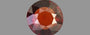 Ceylon Hessonite Garnet - 4.05 Carat Limited Quality HG 8086