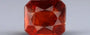 Hessonite (Gomed) - 5.96 Carat