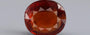 Ceylon Hessonite Garnet - 6.98 Carat Limited Quality HG-8334
