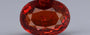 Ceylon Hessonite Garnet - 7.33 Carat Prime Quality HG-8475