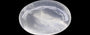 Ceylon Moonstone - 4.66 Carat Limited Quality MS-19118