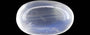 Ceylon Moonstone - 6.39 Carat Rare Quality MS-19098