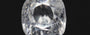 Ceylon White Zircon - NZ 17061 Limited - Quality 5.57 Carat