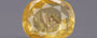 Ceylon Yellow Sapphire - 3.09 Carat Fine Quality CYS-3898
