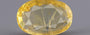 Yellow Sapphire - 5.25 Carats