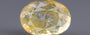 Ceylon Yellow Sapphire - 6.54 Carat Prime Quality CYS-3976