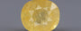 Yellow Sapphire - 6.59 Carats