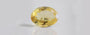 Citrine - CIT 11569 Limited - Quality