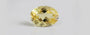 Citrine - CIT 11570 Limited - Quality
