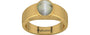 Gold Cat's Eye Ring Prime Quality (R10)