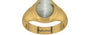 Gold Cat's Eye Ring Prime Quality (R7)