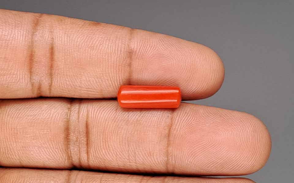 Red Coral - 3.68 Carat (4.07 Ratti - Moonga)
