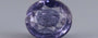 Iolite - 7.68 Carat Prime Quality ILT-18093