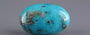 Irani Turquoise - 12.72 Carat Prime Quality TQS-13792