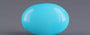 Irani Turquoise - 3.89 Carat Prime Quality TQS-13593