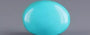Irani Turquoise - 4.76 Carat Prime Quality TQS-13575