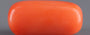 Red Coral - 10.07 Carat (11.13 Ratti - Moonga)