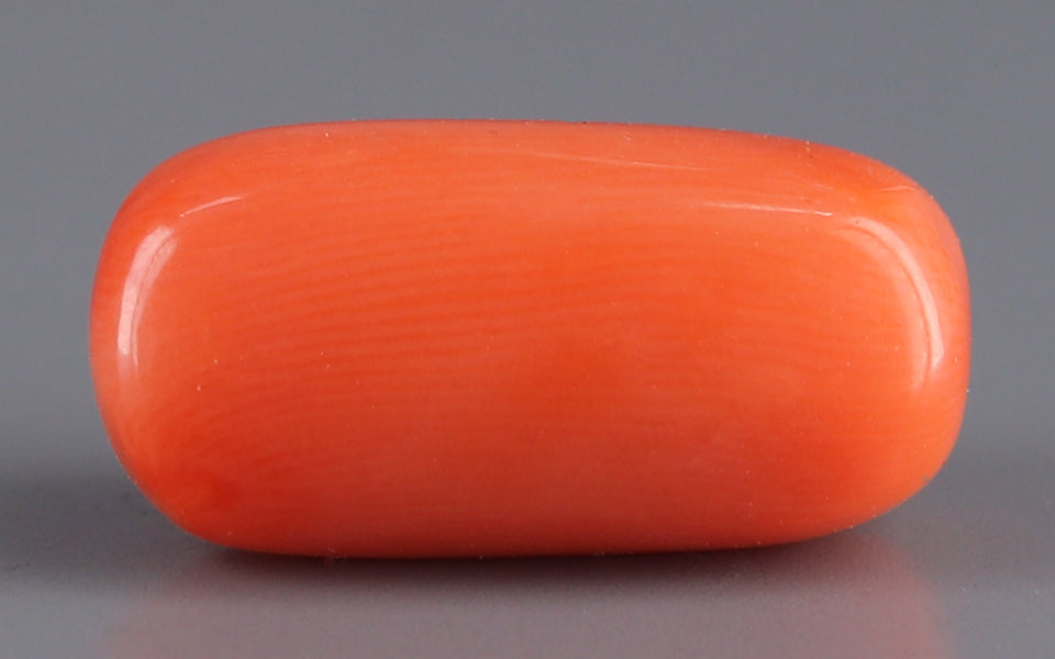 Red Coral - 10.07 Carat (11.13 Ratti - Moonga)