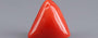 Red Coral - 10.12 Carat (11.18 Ratti - Moonga)