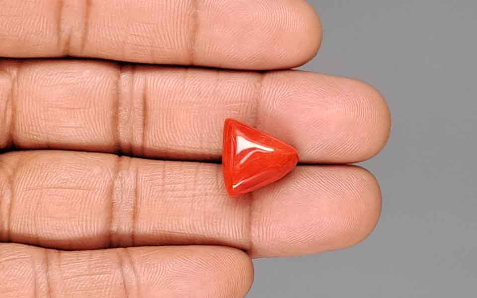 Red Coral - 10.12 Carat (11.18 Ratti - Moonga)