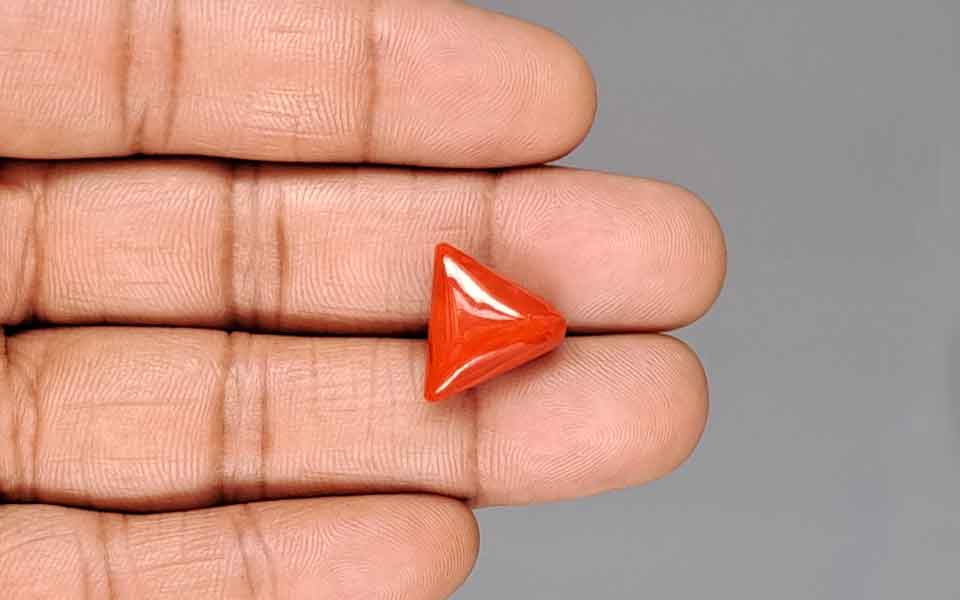 Red Coral - 10.30 Carat (11.38 Ratti - Moonga)