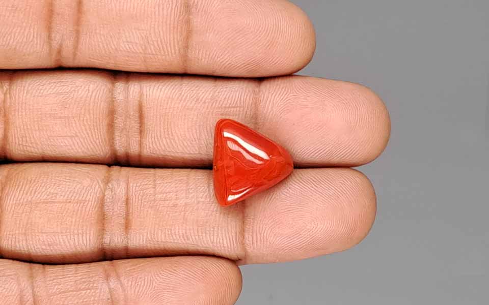Italian Red Coral - 10.37 Carat Rare Quality TC-5427