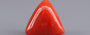 Red Coral - 10.37 Carat (11.46 Ratti - Moonga)