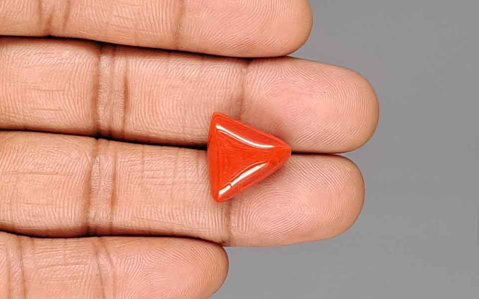 Red Coral - 10.81 Carat (11.94 Ratti - Moonga)