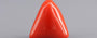 Red Coral - 11.05 Carat (12.21 Ratti - Moonga)