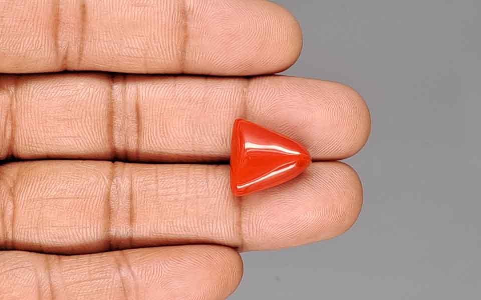 Red Coral - 11.05 Carat (12.21 Ratti - Moonga)