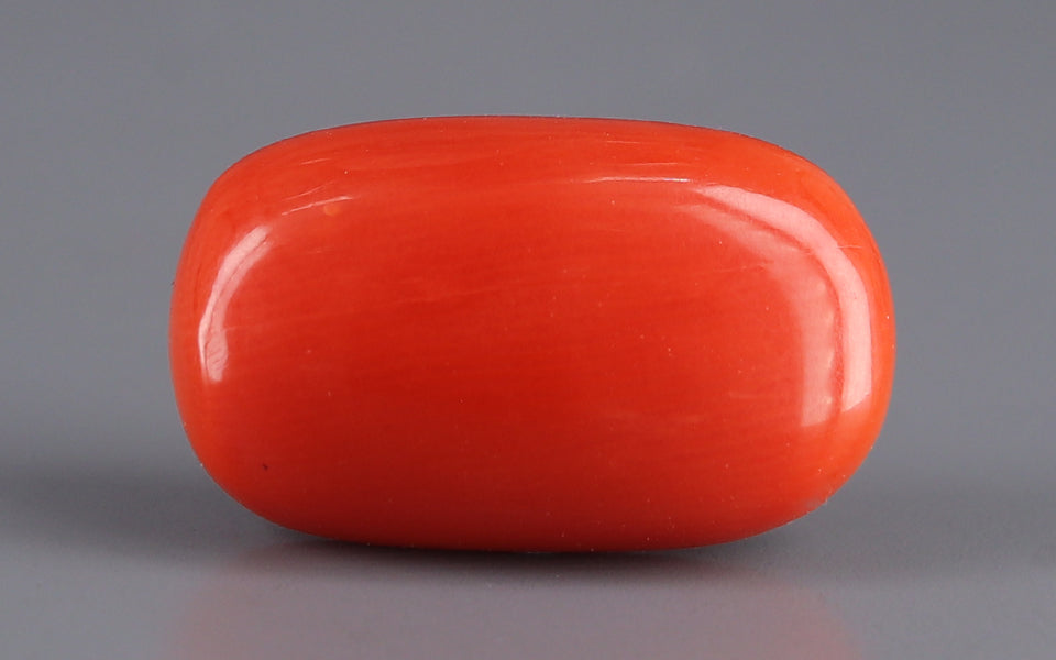Red Coral - 11.10 Carat (12.27 Ratti - Moonga)