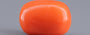 Italian Red Coral - 11.19 Carat Limited Quality CC-5936