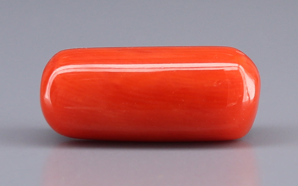 Italian Red Coral - 11.34 Carat Prime Quality CC-5929