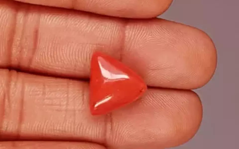 Italian Red Coral - 11.37 Carat Limited Quality TC-5326