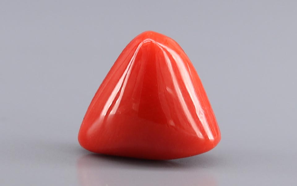 Red Coral - 11.52 Carat (12.73 Ratti - Moonga)