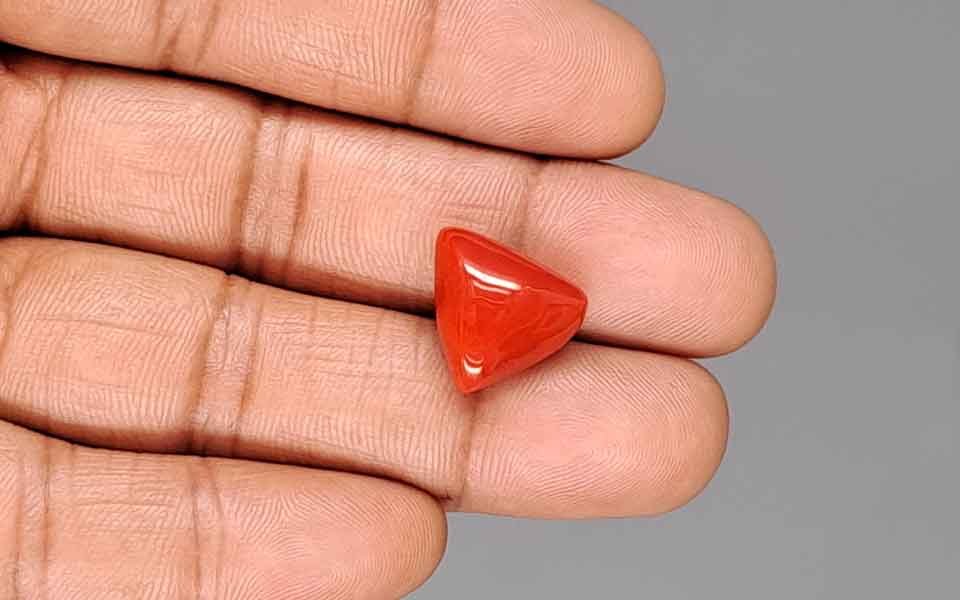 Italian Red Coral - 11.52 Carat Rare Quality TC-5447